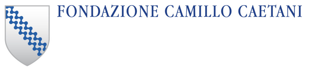 MANUALE DI STILE DEL MARCHIO E DEL LOGOTIPO copia